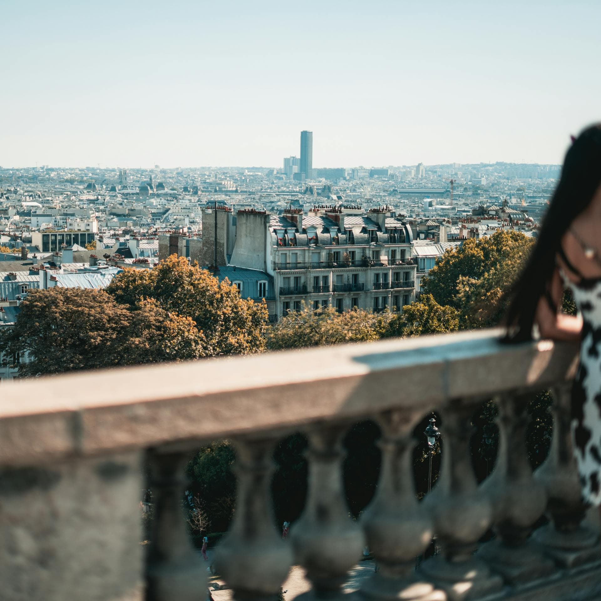 what is a paris apartment hunter